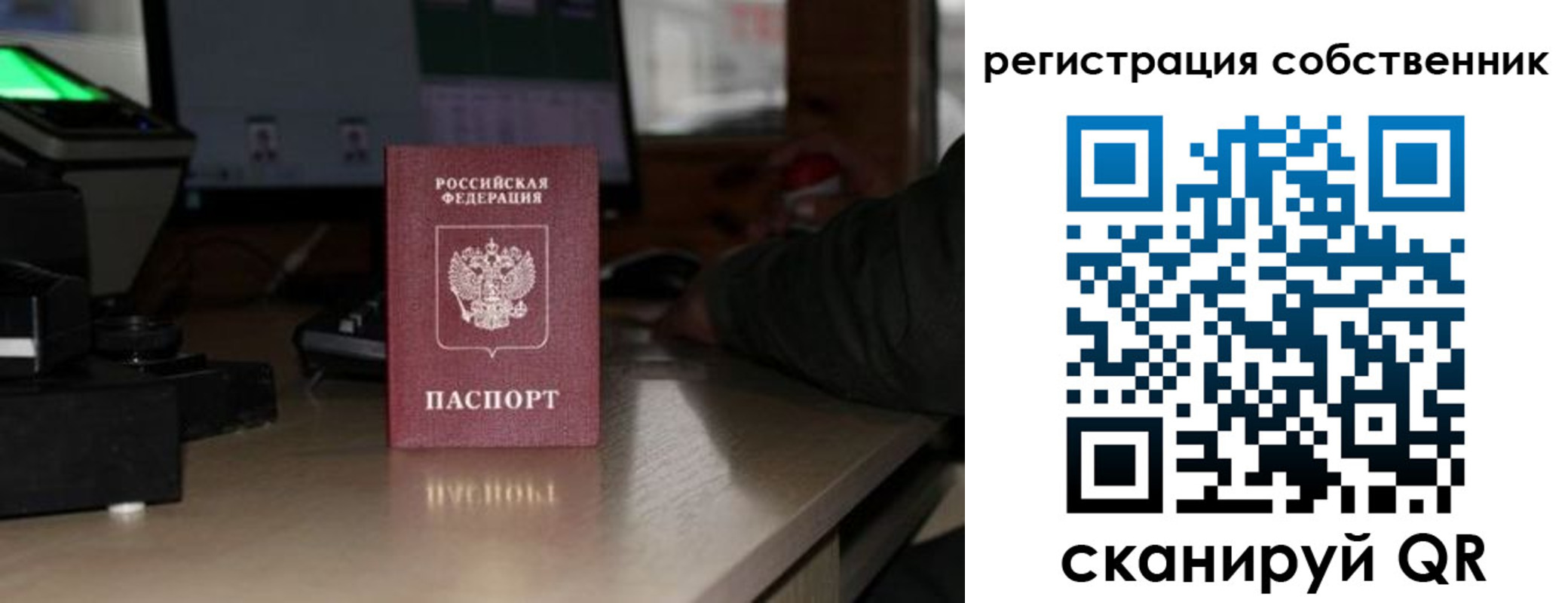 прописка поиск в Чите